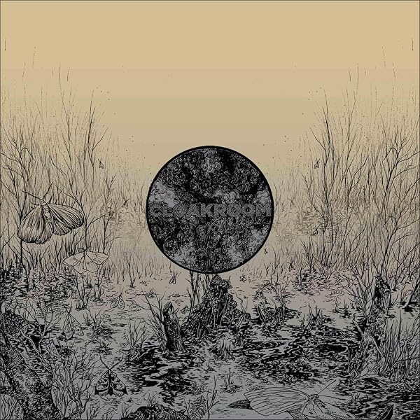 Amazon.com: No Moon: CDs & Vinyl